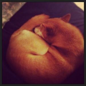 Meet your Posher, Leah